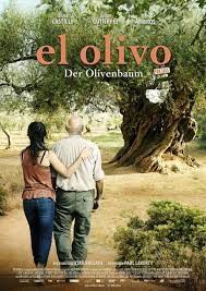 Der Olivenbaum 