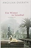 Ein Winter in Istanbul 